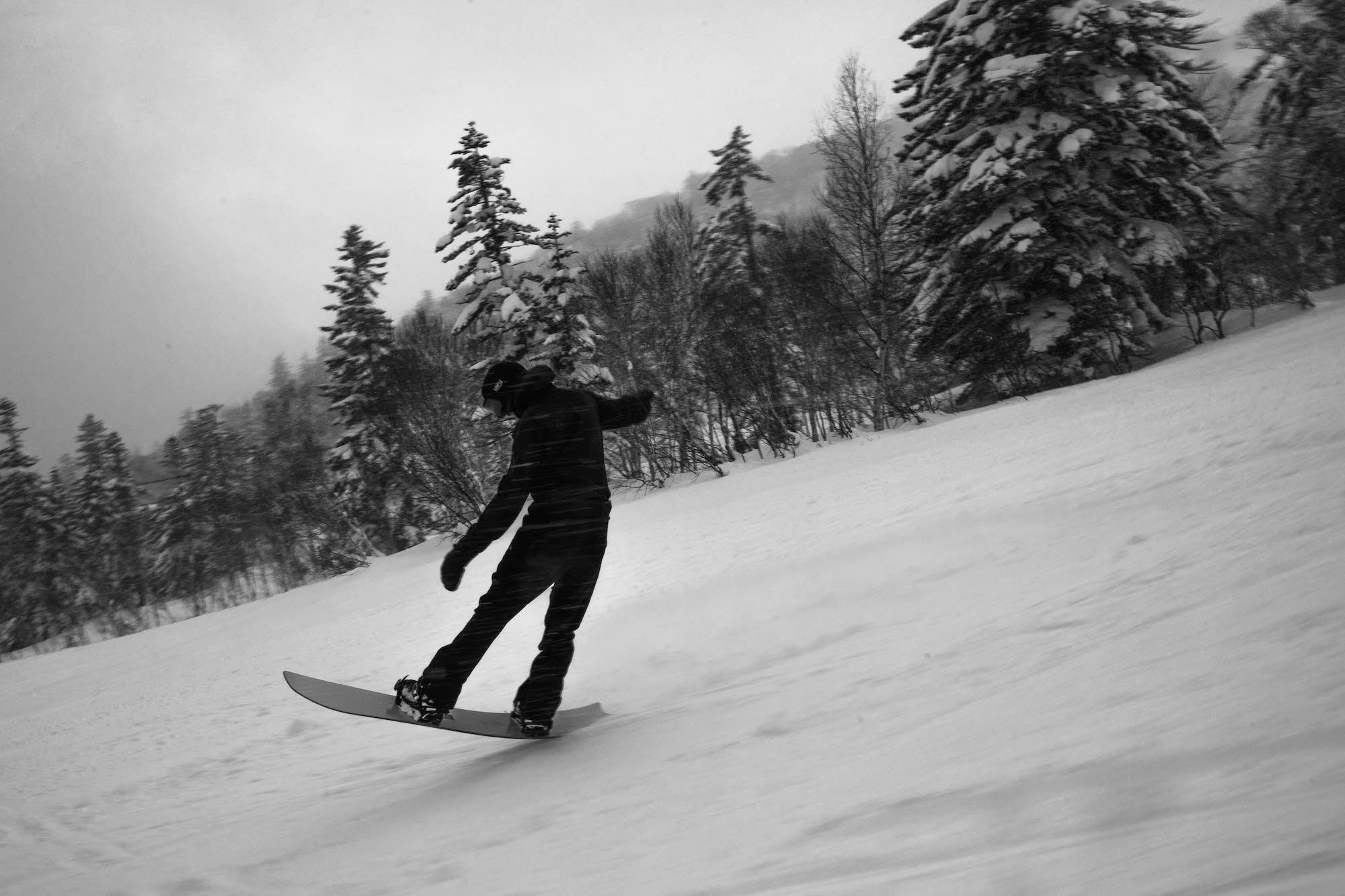 パウダーボードのメンテナンス方法｜長持ちさせる5つの基本ケア